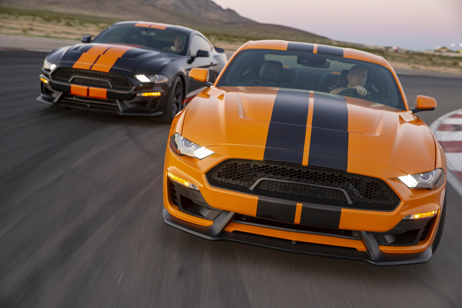 2019 Shelby GT-S